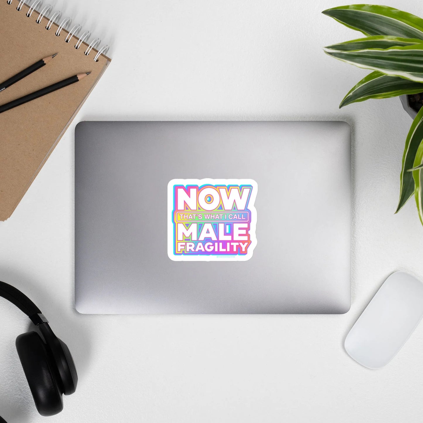 Now That’s What I Call Male Fragility Die Cut Vinyl Sticker, Feminist, Rebel Girl Rampage