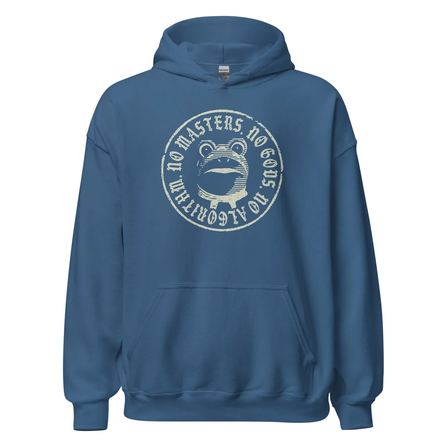 No Masters No Gods Frog unisex hoodie, Graphic of the portland antifa frog on a blue  hoodie, Anne Lesniak, Rebel Girl Rampage