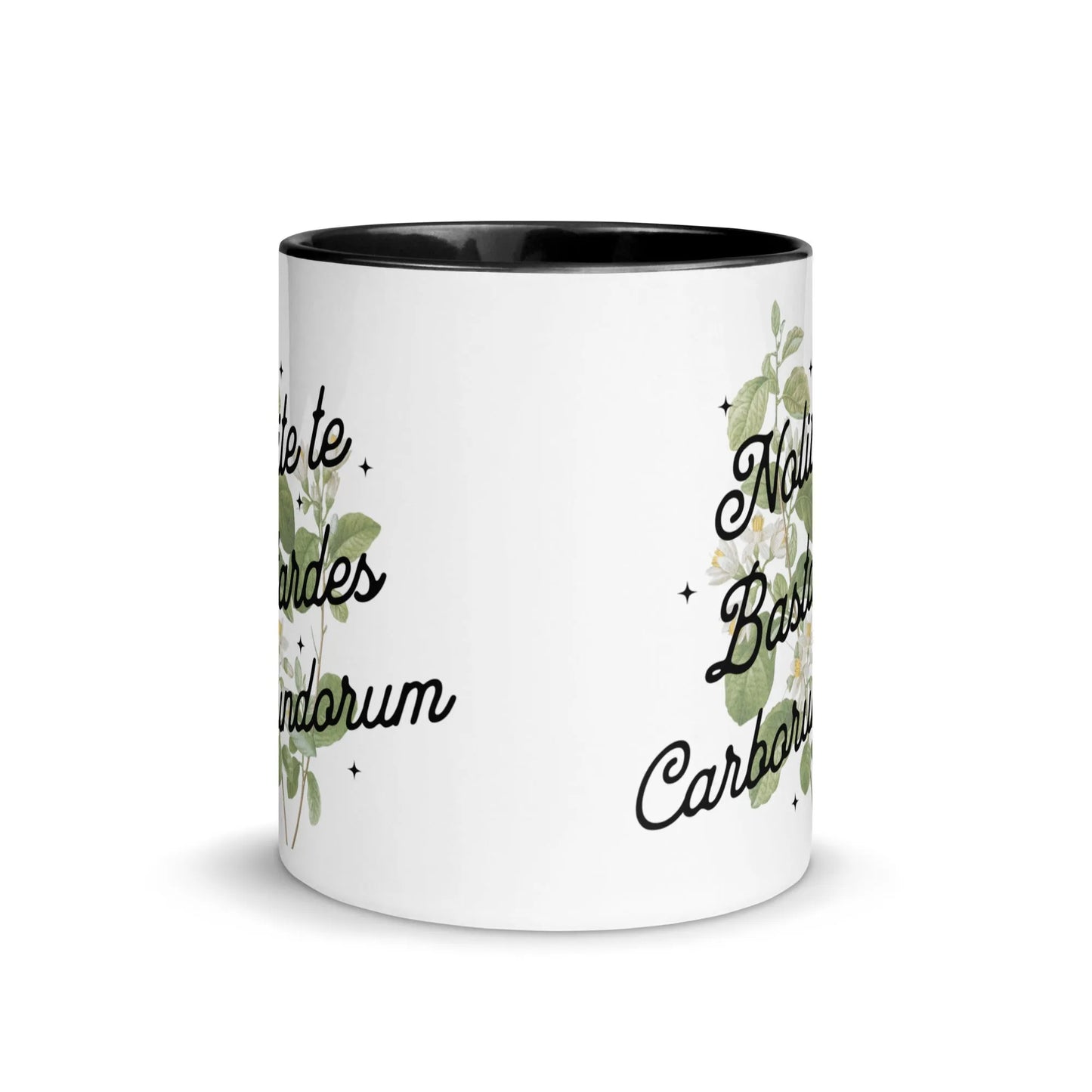 Nolite te Bastardes Carborundorum Ceramic Coffee Mug with color inside, Don’t Let the bastards going you down, Rebel Girl Rampage