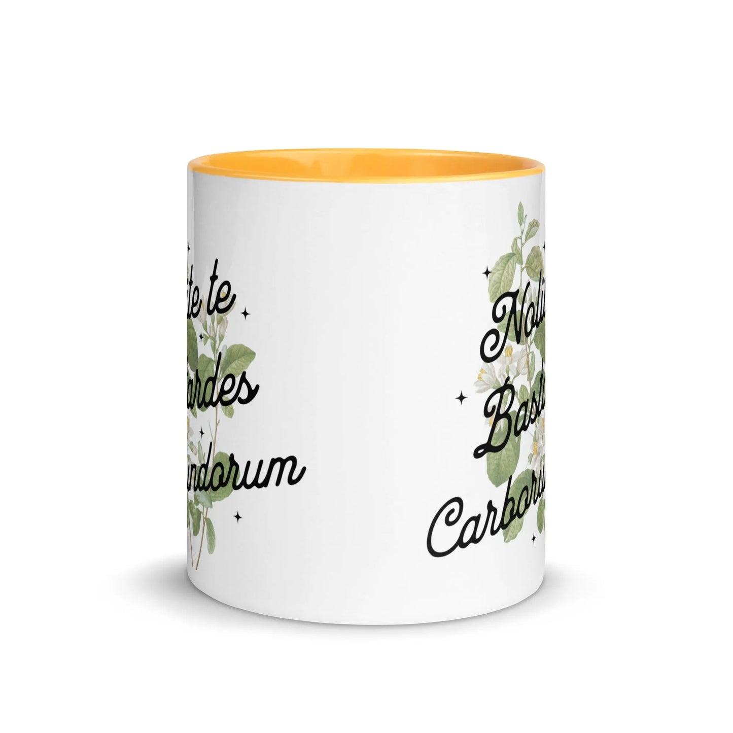 Nolite te Bastardes Carborundorum Ceramic Coffee Mug with color inside, Don’t Let the bastards going you down, Rebel Girl Rampage