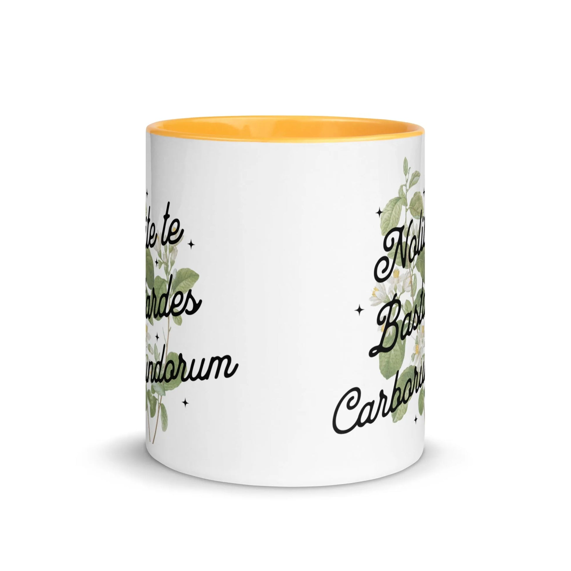 Nolite te Bastardes Carborundorum Ceramic Coffee Mug with color inside, Don’t Let the bastards get you down, Rebel Girl Rampage