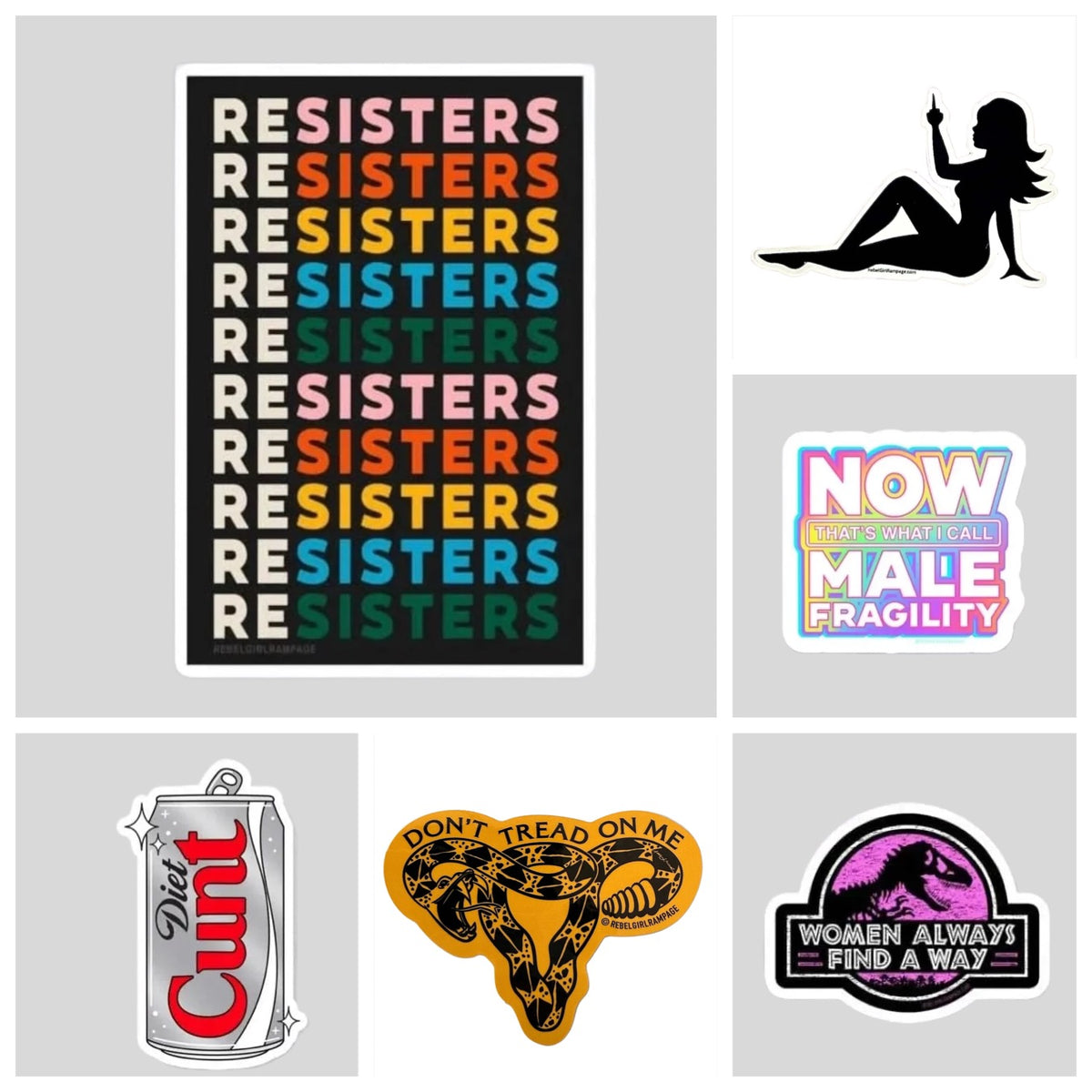 Feminist & Fabulous gift sticker bun dle by Rebel Girl Rampage