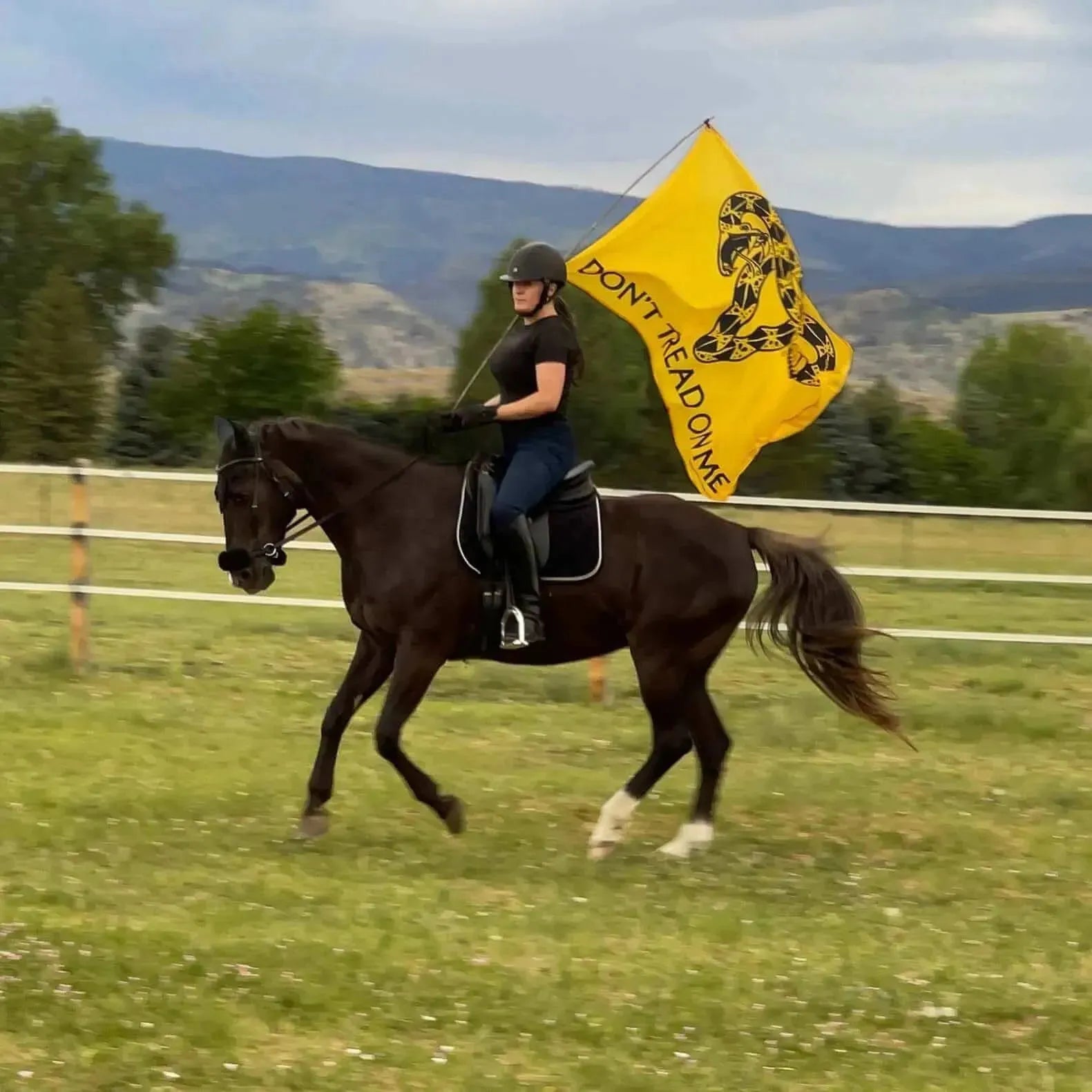 Don’t Tread On Me Women’s Reproductive Rights Uterus Flag Anne Lesniak Rebel Girl Rampage