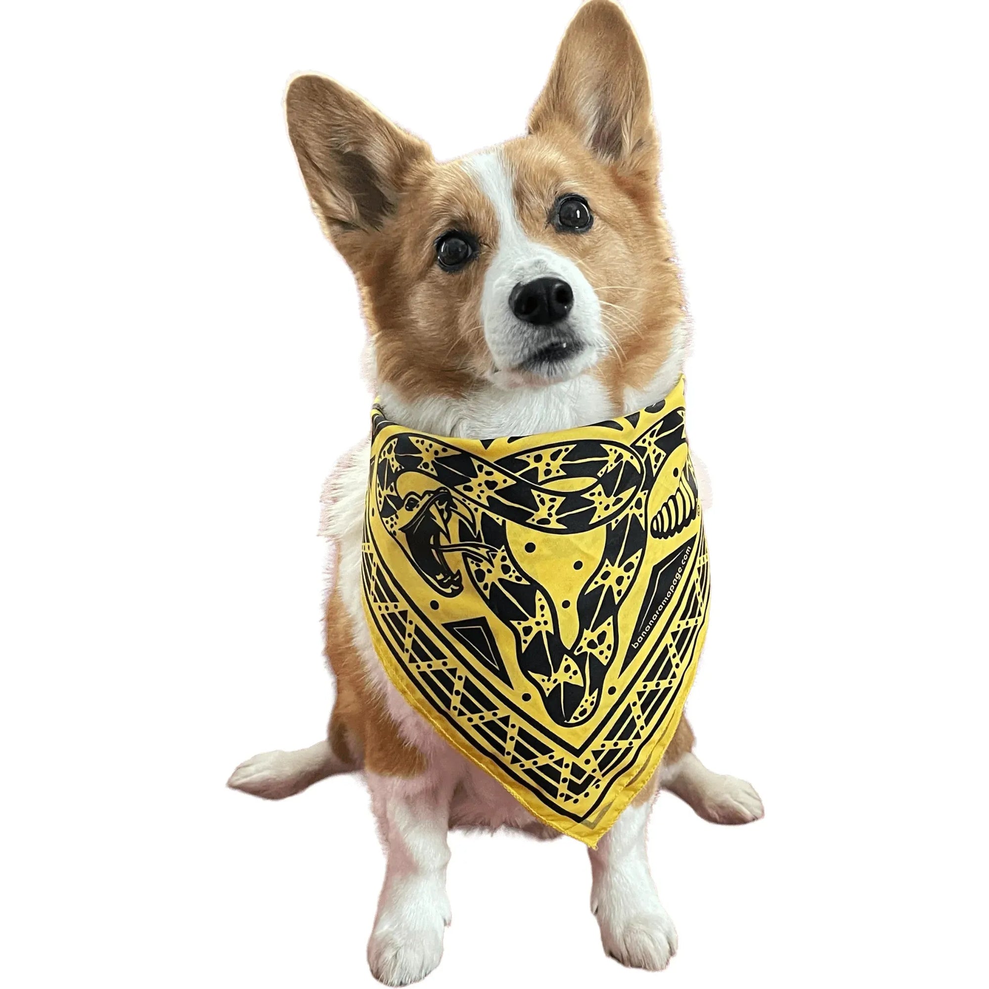 Don’t Tread On Me uterus pro choice bandana by anne lesniak exclusively available at Rebel Girl Rampage. Small batch, limited edition item. 100% cotton, made in the USA. The perfect dog or human bandana to support pro choice women’s rights abortion access