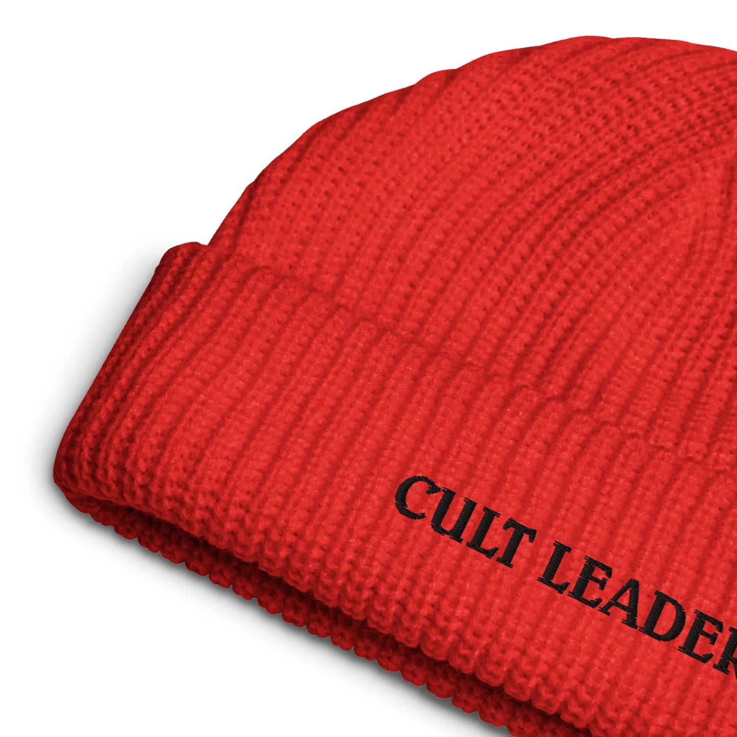 Cult Leader embroidered beanie, winter hat, spooky season, Rebel Girl Rampage