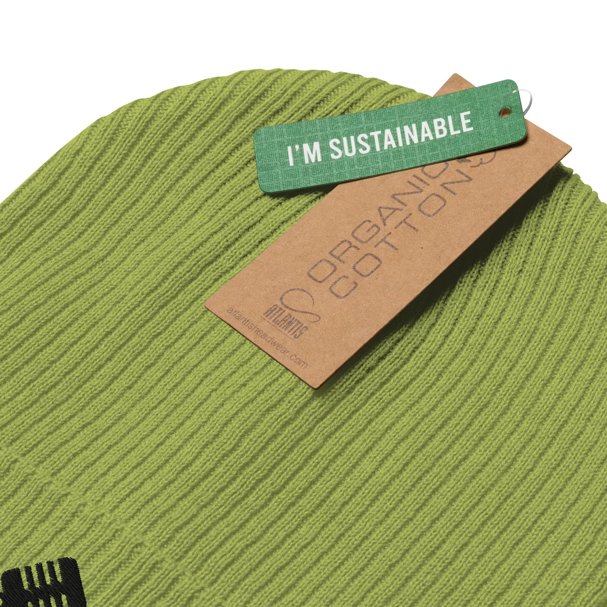 Retro Vintage Embroidered Microphone Organic Ribbed Beanie eco friendly sustainable winter hat  by Rebel Girl Rampage