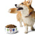 Live Love Dogs pet food bowl adopt don’t shop